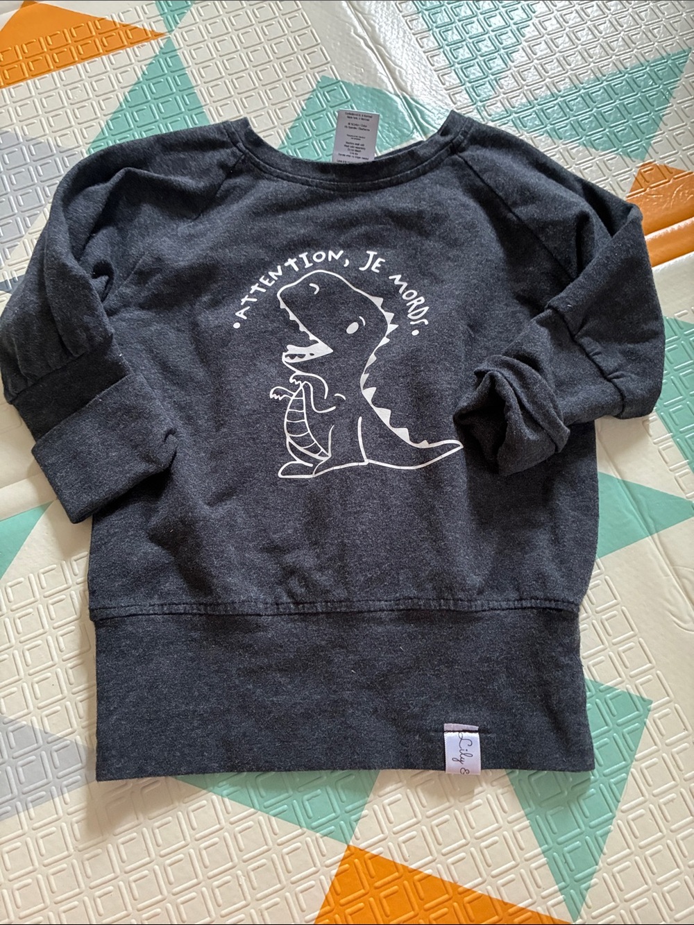 20/25$ 🧸 Charcoal Dino Graphic Sweatshirt - Kids